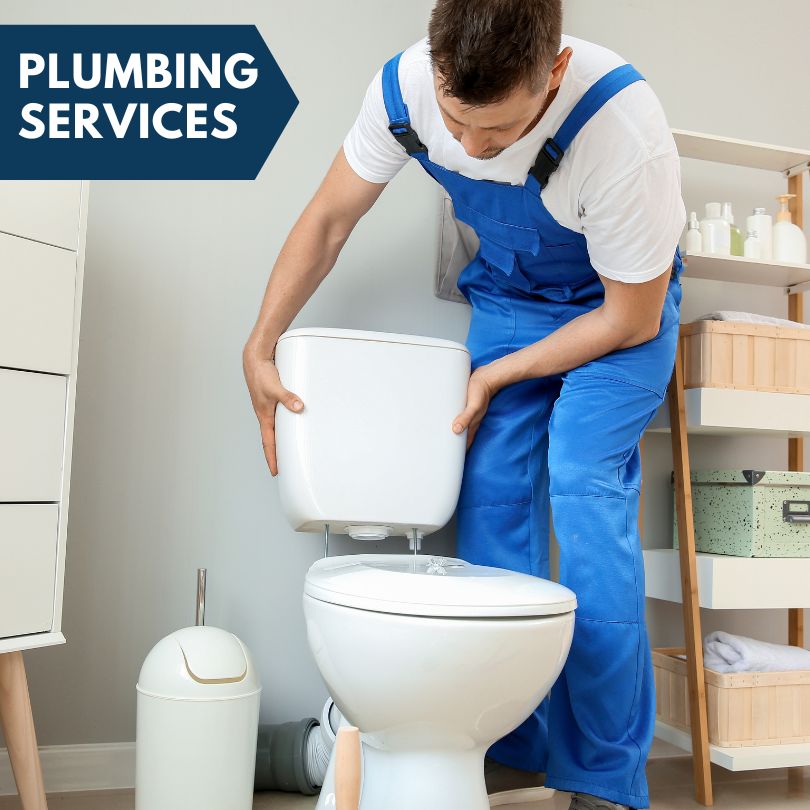 Plumbing Company in Snover, MI